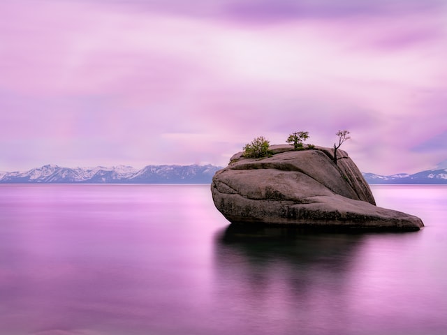 purple island